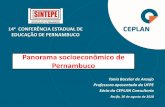 Panorama socioeconômico de Pernambuco - sintepe.org.br · ... Contas Regionais/IBGE; PIB Municipal/IBGE; ... 2003 2013 Taxa (%) Crescimento médio ... Pernambuco apresentou taxas