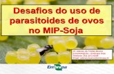 Desafios do uso de parasitoides de ovos no MIP-Soja · Roteiro da apresentação ... IDENTIFICAÇÃO DAS PRAGAS Alicerce para decisões do manejo CBN ... (102 produtos/marcas comerciais)