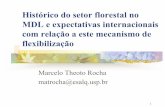 Histórico do setor florestal no MDL e expectativas ...webmail.cnpma.embrapa.br/agrogases/download/Marcelo_Theoto.pdf · A simples presença de estoques de carbono deve ser excluída