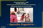 Aparelho Digestório · Ana Grabner Universidade Paulista – UNIP Medicina Veterinária Anatomia Descritiva das Vísceras dos Animais Domésticos São José dos Campos, 11 de abril