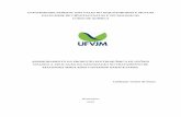 UNIVERSIDADE FEDERAL DOS VALES DO JEQUITINHONHA …site.ufvjm.edu.br/dequi/files/2017/07/Lindomar-2010.pdf · unitários. A confecção de reatores eletrolíticos para uma determinada