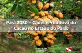 Pará 2030 Cadeia Produtiva do Cacau no Estado do Pará. · Belém-Pará 23/09/2016 Pará 2030 –Cadeia Produtiva do Cacau no Estado do Pará.