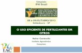 O USO EFICIENTE DE FERTILIZANTES EM CITROS - Brasilbrasil.ipni.net/ipniweb/region/brasil.nsf... · Solubilidade de alguns compostos usados como fertilizantes . IPNI BPUF - Citros