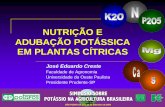 NUTRIÇÃO E ADUBAÇÃO POTÁSSICA EM PLANTAS …brasil.ipni.net/ipniweb/region/brasil.nsf... · Nitrato de Potássio KNO 3 45 13 Sulfato de Potássio e Magnésio K 2 SO 4 2MgSO 4