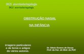 OBSTRUÇÃO NASAL NA INFÂNCIA · 2 Dr. Décio Gomes de Souza Prof. da Fac. de Med. da PUC ANATOMIA NASAL Pirâmide nasal Fossas nasais