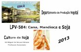 Gil Miguel de Sousa Câmara Professor Associado 0584 02 - Soja... · Esta é a apostila de “slides ... Ind. Máquinas e Implementos Agrícolas Ind. Agroquímica $ ... Facilidade