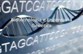 Biotecnologia e Engenharia Genética - censa.edu.br©tica.pdf · A CLONAGEM MOLECULAR • Consiste em construir um DNA recombinante que se replica, quando é introduzido numa célula