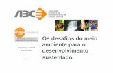 Os desafios do meio ambiente para o desenvolvimentoabce.org.br/downloads/Silvia_Calou_Alacir_Borges.pdf · • Declaração de Utilidade Pública DUP – melhor entendimento da ANEEL