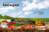 Incaper Programas Pesquisa Ater · PDF fileO Incaper, por meio de seus Programas de Pesquisa e Ater contribui para a produção de alimentos seguros, garantindo a sua qualidade e a