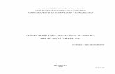 FRAMEWORK PARA MAPEAMENTO OBJETO- RELACIONAL …dsc.inf.furb.br/arquivos/tccs/monografias/TCC2010-2-26-VF-SamuelY... · This work presents the development of an object persistence