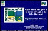 Gás Natural Movimentação de Comercialização efiles.anp.gov.br/round4/arquivos_r4/workshop/Gas-R4.pdf · Fluxo Físico do Gás Transações Comerciais Responsabilidade de Regulação