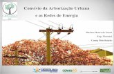 Convívio da Arborização Urbana e as Redes de Energia · • Os Procedimentos de Distribuição – PRODIST são documentos elaborados pela ANEEL (Agência Nacional de Energia Elétrica)