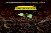 Solução DE SANGOSSE para o controle de … SP.pdfLesmas e Caracóis são vorazes. Alimentam-se de qualquer tipo de planta. Possuem hábitos noturnos. METAREX Metarex é produzido