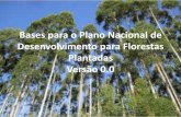 Bases para o Plano Nacional de Desenvolvimento …€¢A formação de novos maciços florestais deverá considerar: ocupação de áreas convertidas no passado para uso alternativo