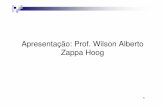 Apresentação: Prof. Wilson Alberto Zappa Hoog - Auditoria - CRCPR - 24 e 25... · parâmetro de avalia ção de itens do ativo, e a CVM criou, a revelia da ... O administrador deve