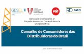 Conselho de Consumidores das Distribuidoras do Brasil · 2018-12-10 · aprendizado são mais eficientes? 27. ... • Integração entre pilares como gestão do conhecimento e aprendizagem