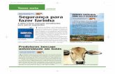 Segurança para fazer farinha - Globo Ruralrevistagloborural.globo.com/EditoraGlobo/DownloadShow/pdf/0,27955... · universidade em Goiás Segurança para ... do bode" sobre experiência