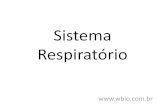Sistema Respiratório - Wbiowbio.com.br/wp-content/uploads/2016/08/Aula-sistema-respiratorio... · Sistema Respiratório . Anatomia sistema respiratório . Faring. Bronquio derecho