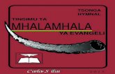TSONGA HYMNAL TINSIMU TA MHALAMHALA · que este livro promova o cântico das verdades sagradas do Evangelho para que desta maneira traga alegria e bênçãos a muitos. Também é