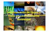 Levantamento de Fauna e Flora em Licenciamento Ambiental · Lei nº 6.938/81 Art. 10. A construção, instalação, ampliação e funcionamento. de estabelecimentos e atividades utilizadoras