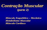 Contração Muscular - ufrgs.br em PDF/16... · PDF fileContração Muscular (parte 2) ... Contração Energia mecânica Energia química Reserva: cerca de 5 gmol/g do músculo ATP