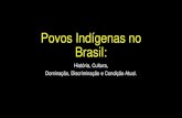 Povos Indígenas no Brasil - files.sesi-jundiai.webnode.comfiles.sesi-jundiai.webnode.com/200001095-3c3f23d369/Povos... · História, Cultura, ... Os povos ameríndios eram formados