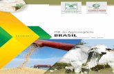 PIB do Agronegócio JULHO/2017 BRASIL · agrícola, os preços exerceram pressão sobre os resultados. Porém, não se verifica neste ramo o contraponto de elevação significativa