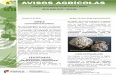 Circular nº 2 - drapn.min-agricultura.pt · Circular nº 2/ 2013 Senhora da Hora, 20 de fevereiro de 2013 ... agricultura biológica durante todo o ciclo, mas em doses reduzidas.