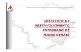 INSTITUTO DE DESENVOLVIMENTO INTEGRADO DE MINAS …investimentos.mdic.gov.br/public/arquivo/arq1272637416.pdf · DESENVOLVIMENTO DA ECONOMIA MINEIRA O INDI HOJE. INSTITUTO DE DESENVOLVIMENTO