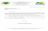 Estado de Goiás Prefeitura Municipal de Campinorte CENTRO ... · (nome da empresa), inscrita no CNPJ Nº. _____, sediada na (endereço), declara sob as penas da Lei: a) Que possui