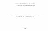 UNIVERSIDADE TUIUTI DO PARANÁ EWERTON PIMENTEL …tcconline.utp.br/media/tcc/2018/01/DIMENSIONAMENTO-DE-TUBULACOES.pdf · dimensionamento de tubulaÇoes de drenagem para captaÇÃo