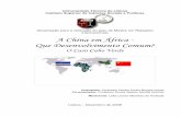 A China em África - Que Desenvolvimento Comum? Em... · Resumo Depois de alcançada a ideologia de Estado e ter defenido assim a sua posição política, com as conhecidas consequências