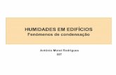 António Moret Rodrigues IST - fenix.tecnico.ulisboa.pt · ¾Lei de Fick (1 slide) ... TRANSPORTE DE HUMIDADE: mecanismos zA transferência de humidade através dos poros e capilares