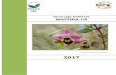 Declaração Ambiental MACEIRA-LIZ - secil-group.com · Declaração Ambiental 2017 MACEIRA-LIZ 5|44 I. Objetivos e âmbito A adoção voluntária do regulamento EMAS (Sistema Comunitário