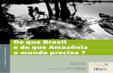 De que Brasil e de que Amazônia o mundo precisafdm.rio20.net/sites/default/files/IMG/pdf_cp_amazonie_pt.pdf · por Betinho. Cândido é um dos membros do comitê brasileiro que lançou