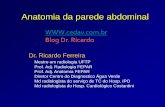 Blog Dr. · PDF file2 resumo regiÃo inguinal m. obliquo externo m. obliquo interno m. transverso fascia transversalis fascia extra peritonial peritonio lig. inguinal anel inguinal