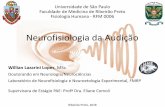 Neurofisiologia da Audição - edisciplinas.usp.br · Plano de aula Características das ondas sonoras e espectros audíveis do som Anatomia da orelha e do ouvido: •Externo, médio