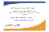 MBA Gerenciamento de Projetos - kmpress.com.brkmpress.com.br/site/wp-content/uploads/2011/06/03-LABCEO-MUDANCA... · “Quando o ritmo da mudança dentro da empresa for ultrapassado