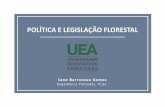 POLÍTICA E LEGISLAÇÃO FLORESTAL · •Evolução da degradação ambiental e florestal •Necessidade de políticas ambientais e florestais •Definição e objetivo de uma política