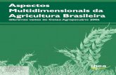Aspectos - Biblioteca Digital da Questão Agrária Brasileirareformaagrariaemdados.org.br/sites/default/files/Aspectos... · Aspectos Multidimensionais da Agricultura Brasileira diferentes
