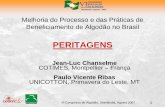 Melhoria do Processo e das Práticas de Beneficiamento de ... · Relatório completo por usina. CONGRESSO BRASILEIRO DO ALGODÃO Uberlândia / agosto / 2007 ... - Observação e análise