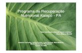 Programa de Recuperação Nutricional Kaiapó - PA189.28.128.100/dab/docs/eventos/mostra/mr/ok1045h_altamiro... · Nutricionista, Pedagogo. ... 3 x ao dia; - Garantia de aporte calórico