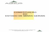 343o do Estado de Minas Gerais) - agnuscontabilidade.com.br · comunidade mineira em favor da preservação da unidade geográfica de Minas Gerais e de sua identidade social, cultural,