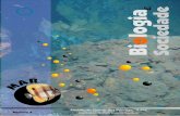 O Mar e a Investigação Marinha - Ordem dos Biólogosarquivo.ordembiologos.pt/Publicacoes/BS5 -- Nov07.pdf · Daqui a necessidade de manter as Ciências do Mar aber- ... Maria do