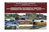 PROGRAMA ESTADUAL DE PREVENÇÃO DE DESASTRES NATURAIS E DE ... · O Estado de São Paulo, diante do aumento dos efeitos dos desastres naturais e de riscos geológicos, vem desencadeando,