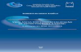 VIGILÂNCIA PÓS-COMERCIALIZAÇÃO DE PRODUTOS PARA … · Quadro 7 - Modelo para a análise do processo de vigilância pós-comercialização de ... Anvisa Agência Nacional de Vigilância