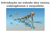 Introdução ao estudo dos ossos, osteogênese e esqueleto.anatomia.icb.ufrj.br/material/GarciaOsteologia1.pdf · O osso é uma forma rígida de tecido conjuntivo que forma a maior