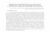 Biologia reProdUtiva de dUas esPÉcies de anacardiaceae da ...rcpol.org.br/wp-content/uploads/2018/02/55.pdf · Engl. (Anacardiaceae) na Reserva Legal do Projeto Salitre, Juazeiro-BA,