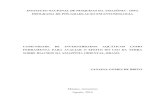 INSTITUTO NACIONAL DE PESQUISAS DA AMAZÔNIA - INPA ...bdtd.inpa.gov.br/bitstream/tede/2226/5/Tese_Janaina_Final pdf.pdf · invertebrados aquáticos ao longo de um gradiente de perda