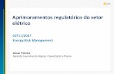 Aprimoramentos regulatórios do setor elétrico - VIEXviex-americas.com/2016/wp-content/uploads/2017/11/Cesar_Pereira... · Estudo de disponibilidade de lastro de energia incentivada